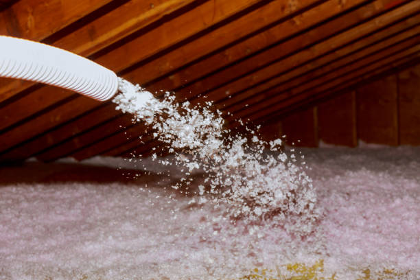 Best Crawl Space Insulation  in Navajo, NM
