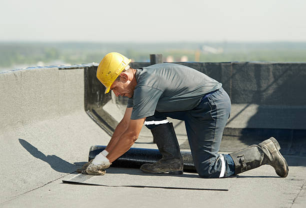 Best Attic Insulation Installation  in Navajo, NM