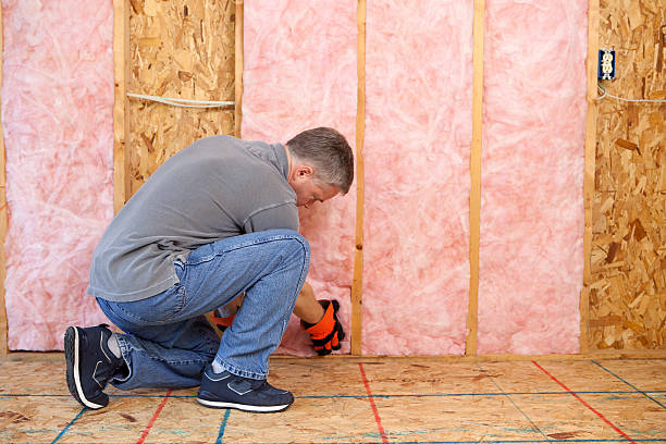 Best Insulation Repair Services  in Navajo, NM