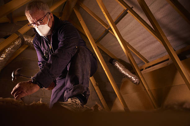 Best Insulation Removal  in Navajo, NM