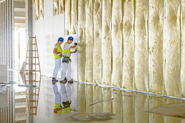 Best Insulation Contractors for Homes  in Navajo, NM